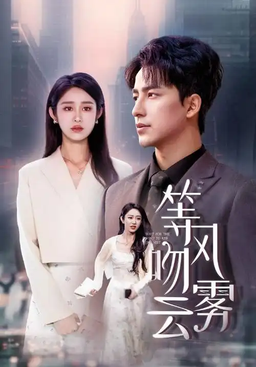 南来北往 剧情生活海报